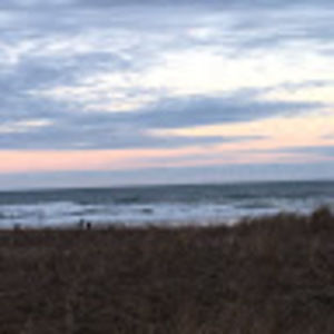 Meet your Posher, Lina